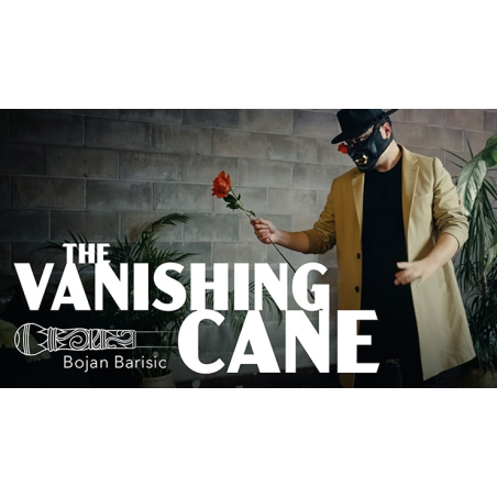 Vanishing Cane (Stage) by Bojan Barisic and Stage Elegance