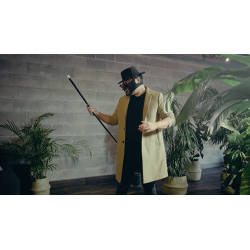 Vanishing Cane (Stage) by Bojan Barisic and Stage Elegance