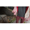 Vice (Gimmicks and Online Instructions) by Jeff Prace - Trick