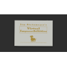 Virtual Impuzzibilities by Jim Steinmeyer - Book