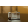 Vision Box 2.0 by João Miranda Magic - Trick
