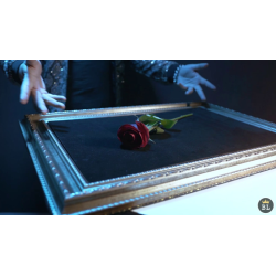 Visual Matrix AKA Rose Act Elegant Gold (Gimmick and Online Instructions) by Will Tsai and SansMinds - Trick