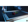 Visual Matrix AKA Rose Act Elegant Gold (Gimmick and Online Instructions) by Will Tsai and SansMinds - Trick