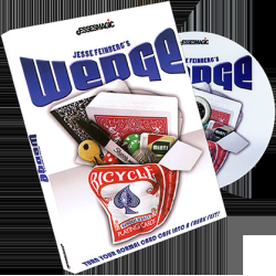 Wedge by Jesse Feinberg