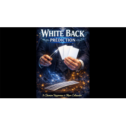 White Back Prediction by Damien Vappereau and Marc Céliandre (Blue)