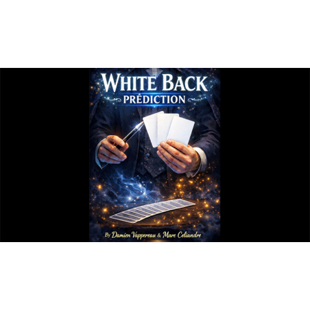 White Back Prediction by Damien Vappereau and Marc Céliandre (Red)