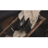 Z Fold Wallet (locking)2.0 by TCC - Trick