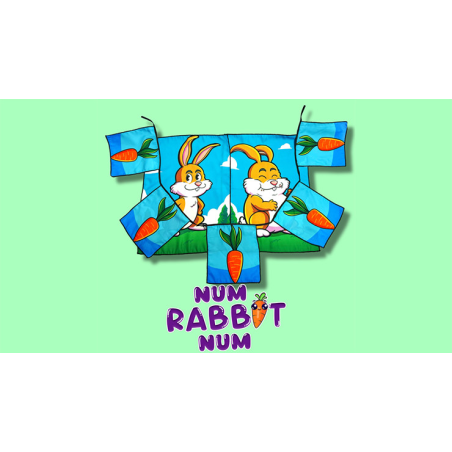 Num Rabbit Num by PlayTime Magic DEFMA