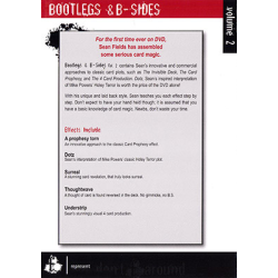 Bootlegs and B-Sides - Volume 2 by Sean Fields - DVD