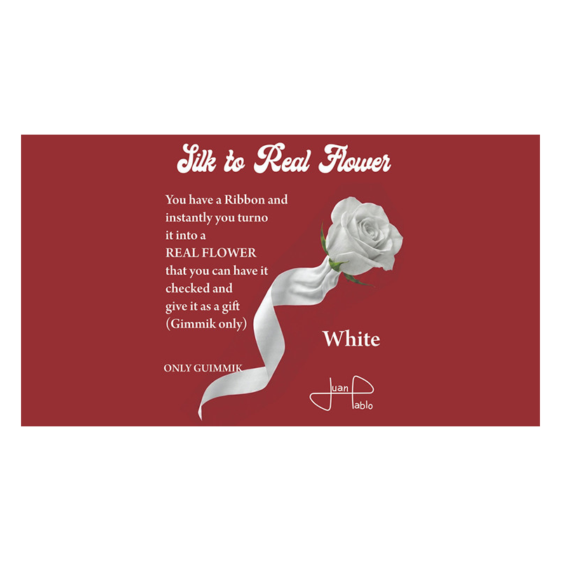 Silk to Real Flower (White) by Juan Pablo