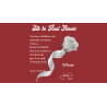 Silk to Real Flower (White) by Juan Pablo