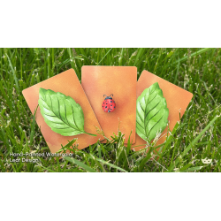 Lucky Ladybug (Leaf) by Joshua Ray and Deuce Gala Magic