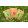 Lucky Ladybug (Leaf) by Joshua Ray and Deuce Gala Magic