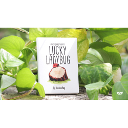 Lucky Ladybug (Leaf) by Joshua Ray and Deuce Gala Magic