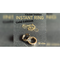 Instant Ring (silver/gold, Size 10) by Viktor Voitko
