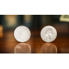 Arraignment Gaff Coin Refill (1 Coin) by Josh Janousky and TCC Magic