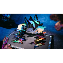 Morpho V2 Playing Cards Collection Boxset by TCC Fashion