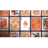 Paisley Ton sur Ton Poudre Orange Foil Designer's Choice