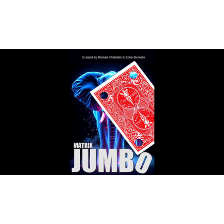 Matrix Revolution Jumbo (Red) by Mickael Chatelain