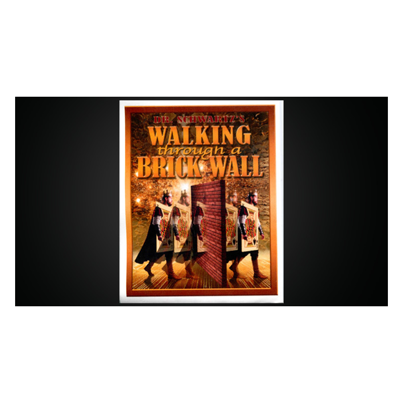 Walking Thru a Brick Wall by Martin Schwartz