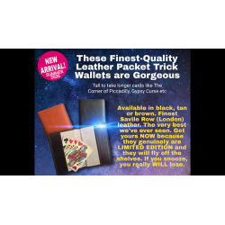 Leather Packet Wallet (Brown) by Paul Gordon