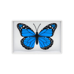 Omni Butterfly by Hyde Ren and Bacon Magic