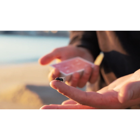 The FLY LITE by Marcos Waldemar and Invisible Compass