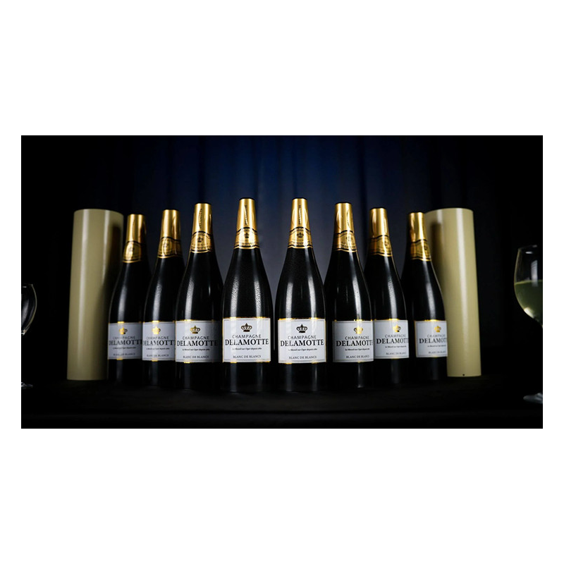 Miracle Wine Bottles Champagne Model Complete Set with Case by TCC Magic
