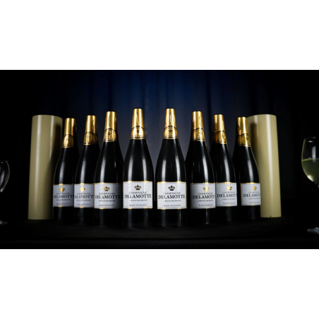 Miracle Wine Bottles Champagne Model Complete Set with Case by TCC Magic