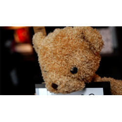 Teddy Unframed by Bond Lee and JC Magic