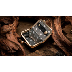 Coin Bag by TCC Magic