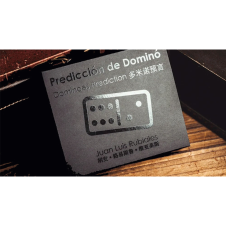 Dominoes Prediction by Juan Luis Rubiales