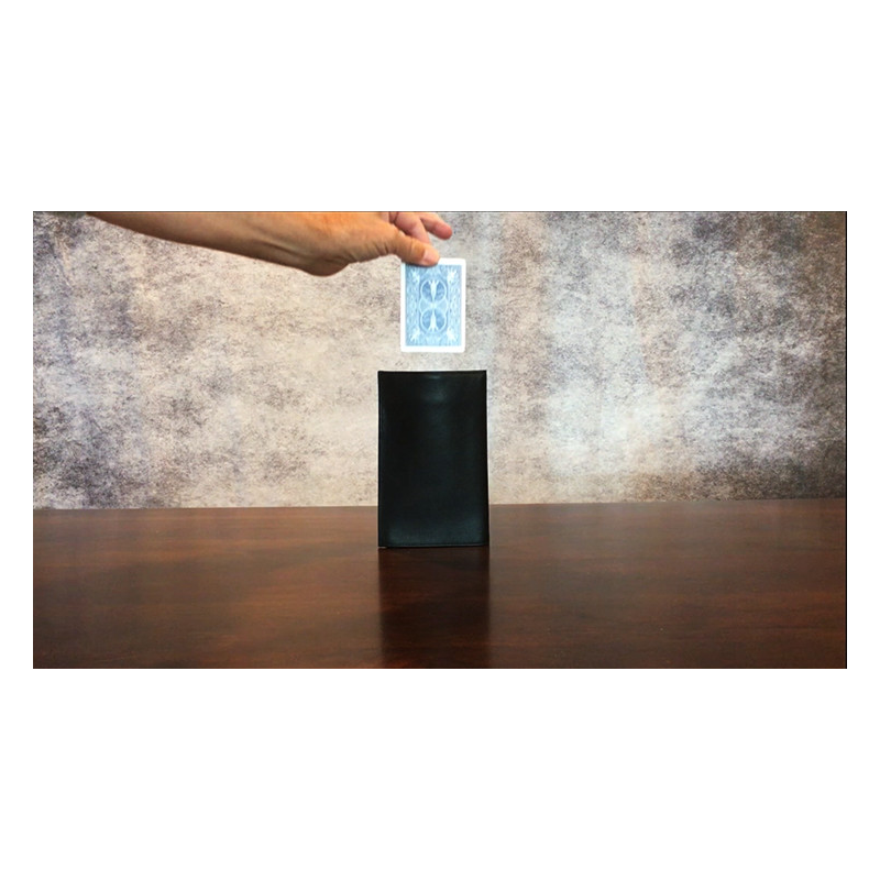 Larry Wilmore's Gravity Wallet by David Regal and Larry Wilmore