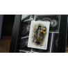Skymember Presents Ancient Egypt Playing Cards by Calvin Liew and Arise Art Studio