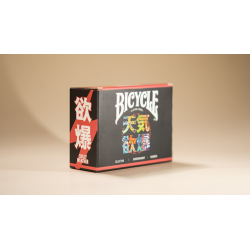 Bicycle Chilly Weather Blind Pack (Half Brick) Playing Cards