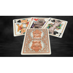 Bicycle Poker Cats V2 Playing Cards