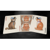 Bicycle Poker Cats V2 Playing Cards