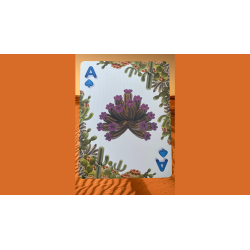 Bicycle Balloon Desert (Stripper) Playing Cards