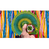 Bicycle Balloon Jungle Playing Cards