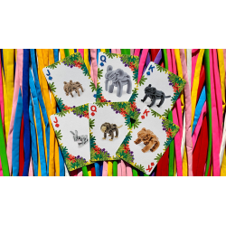 Bicycle Balloon Jungle Playing Cards