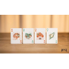 Bicycle Mascot (Legendary Turtle) Playing Cards