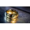 Ash and Ember Gold Curved Size 8 (2 Rings) by Zach Heath - Trick