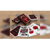 Bicycle Spellbound by US Playing Card
