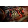 Limited Edition Bicycle Dark Templar Playing Cards