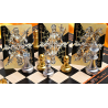CHESS Black Playing Cards by Hidden Light