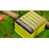 Childhood Playing Cards (Half Brick Standard + Gilded ) by TCC and Lunzi