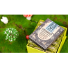 Childhood Playing Cards (Half Brick Standard + Gilded ) by TCC and Lunzi