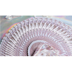 Chromium playing cards by Evokad