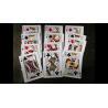 Desert Design (Ruby Red) Playing Cards