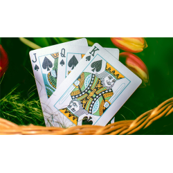 Butterfly Seasons Playing Cards Marked (Spring) by Ondrej Psenicka